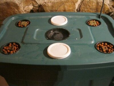 Aeroponic System Basics Image